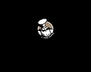 godini