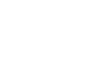 logo-n-lorenzetti
