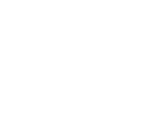 logo-n-orquidea