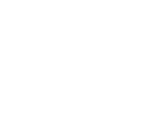 logo-n-walon